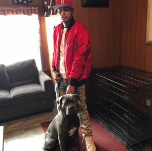 Meet your Posher, Alexander